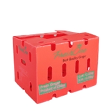 Thùng Nhựa PP Danpla Đựng Rau Củ Quả Tốt