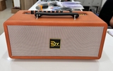 Loa xách tay SDT-T13