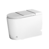Bệt V8 NT