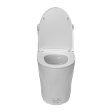 Bệt 2081