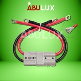 Cặp Phích cắm cổng Pin lifepo4 chuyên dụng