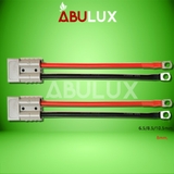 Cặp Phích cắm cổng Pin lifepo4 chuyên dụng