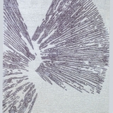 Χα17. Volcano Silver