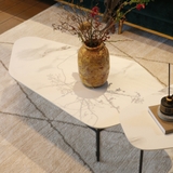 Pollen mặt Ceramic trắng