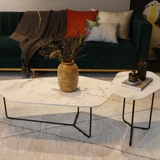 Pollen mặt Ceramic trắng