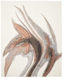 Thảm Haima Hand Tufted 100%Wool 2000x2900mm