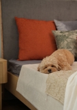 QUEEN BED-JP 01