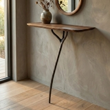 TALON CONSOLE TABLE 01 LEG in ZINC/WALNUT