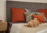 QUEEN BED-JP 01