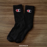 COMBO 10 SOCKS CHAMPION HIGH