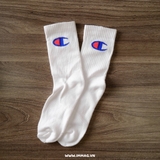 COMBO 10 SOCKS CHAMPION HIGH