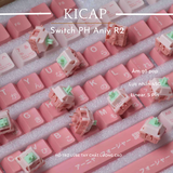 Switch PH Aniy R2 - Linear poppy sound