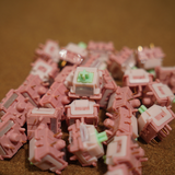 Swich Leobog Strawberry Mint