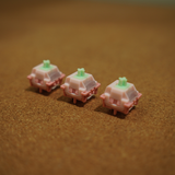 Swich Leobog Strawberry Mint