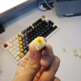 Switch Gateron Pro Milky Yellow