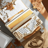 Bàn phím cơ công thái học Record Alice 3 mode - Only KIT