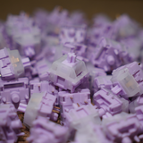 Switch SW x HMX Catmint - Linear - Poppy - Clacky