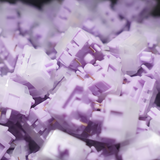 Switch SW x HMX Catmint - Linear - Poppy - Clacky