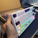 Combo custom Plastic 87 Pro Rudy Yellow