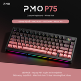 Bàn phím cơ PMO P75 - Siêu phẩm 75% huỷ diệt phân khúc 1 triệu