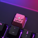 Keycap Hoa anh đào