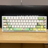 Bộ keycap Thảo Thần Nahida