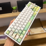 Bộ keycap Thảo Thần Nahida