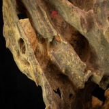 Trầm cảnh Rục thiên nhiên cao cấp (76x22x22cm)