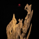 Trầm cảnh Rục thiên nhiên cao cấp (76x22x22cm)