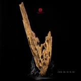 Trầm cảnh Rục thiên nhiên cao cấp (58x19x15cm)