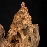 Trầm cảnh Rục thiên nhiên cao cấp (58x19x15cm)