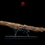 Trầm cảnh Kiến Chìm Nước thiên nhiên cao cấp (6x60x6cm)