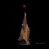 Trầm cảnh Kiến Chìm Nước thiên nhiên cao cấp (21x9x7cm)