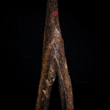 Trầm cảnh Kiến Chìm Nước thiên nhiên cao cấp (21x9x7cm)