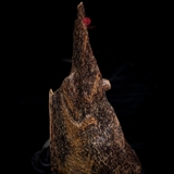 Trầm cảnh Kiến Chìm Nước thiên nhiên cao cấp (21x9x7cm)