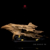 Trầm cảnh Rục già dầu thiên nhiên cao cấp (29x56x23cm)