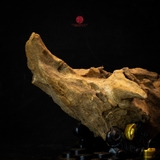 Trầm cảnh Rục già dầu thiên nhiên cao cấp (29x56x23cm)