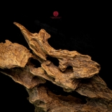 Trầm cảnh già dầu thiên nhiên cao cấp (25x20x8cm)