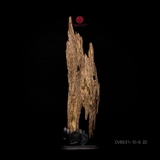 Trầm cảnh Kiến già dầu thiên nhiên cao cấp (31x10x9cm)