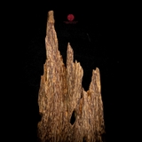 Trầm cảnh Kiến già dầu thiên nhiên cao cấp (31x10x9cm)