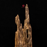 Trầm cảnh Kiến già dầu thiên nhiên cao cấp (23x11x9cm)