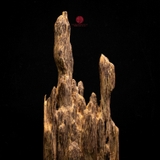 Trầm cảnh Kiến già dầu thiên nhiên cao cấp (23x11x9cm)