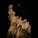 Trầm cảnh Rục thiên nhiên cao cấp (33x20x10cm)