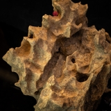 Trầm cảnh Rục thiên nhiên cao cấp (33x20x10cm)