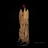 Trầm cảnh Kiến già dầu thiên nhiên cao cấp (31x9x9cm)