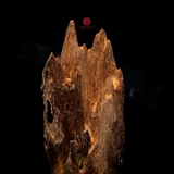 Trầm cảnh Kiến già dầu thiên nhiên cao cấp (31x9x9cm)