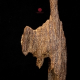 Trầm cảnh Kiến già dầu thiên nhiên cao cấp (48x11x11cm)