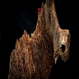 Trầm cảnh Kiến già dầu thiên nhiên cao cấp (48x11x11cm)
