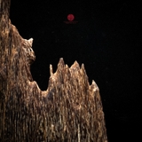 Trầm cảnh Kiến già dầu thiên nhiên cao cấp (48x11x11cm)