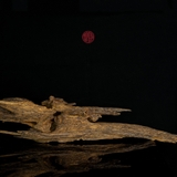 Trầm cảnh Mắt Tử thiên nhiên cao cấp (63x13x12cm)